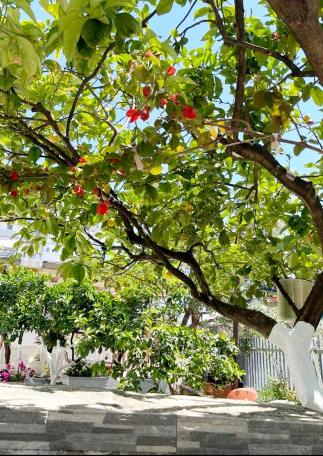 Sala Apartment'S Sarande Bagian luar foto